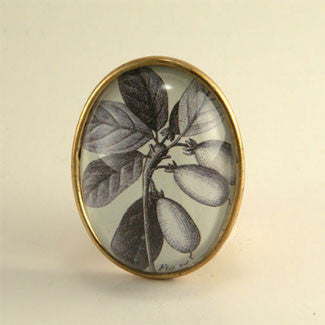 Olive You Classic Olive Botanical Flora Engraving Brooch