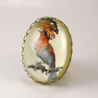 Fancy Feathers Colorful Bird Cocktail Ring