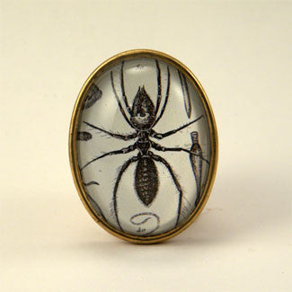 Insectavora Victorian Scientific Ant Engraving Brooch