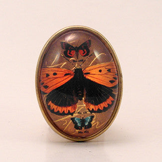 Ethereal Butterfliy With Brown Background Jewelry