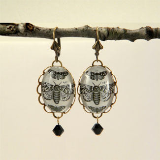 Moths, Moths, Moths Vintage Scientific Insect Illustration Earrings