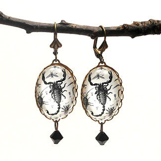 Scorpion Vintage Scientific Engraving Earrings