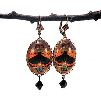 Ethereal Butterfliy With Brown Background Jewelry