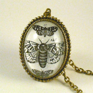 Moths, Moths, Moths Vintage Scientific Insect Illustration Pendant Necklace