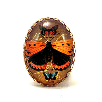 Ethereal Butterfliy With Brown Background Jewelry