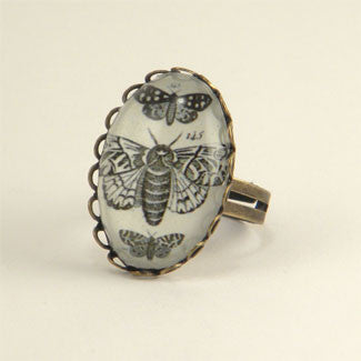Moths, Moths, Moths Vintage Scientific Insect Illustration Petite Ring in Silver or Gold