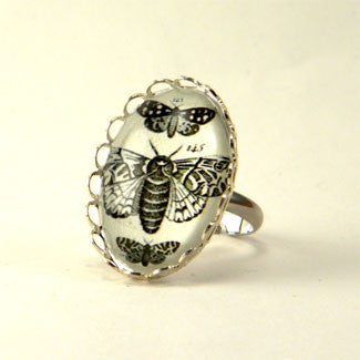 Moths, Moths, Moths Vintage Scientific Insect Illustration Petite Ring in Silver or Gold