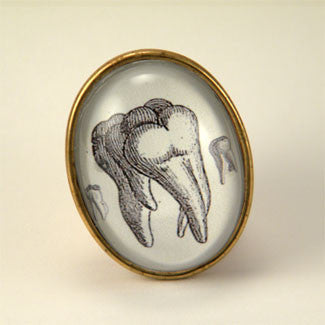 Holy Molars Deluxe Dental Brooch