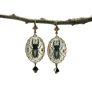 Beetle Juice - Vintage Scientific Beetle Insect Illustration Earrings