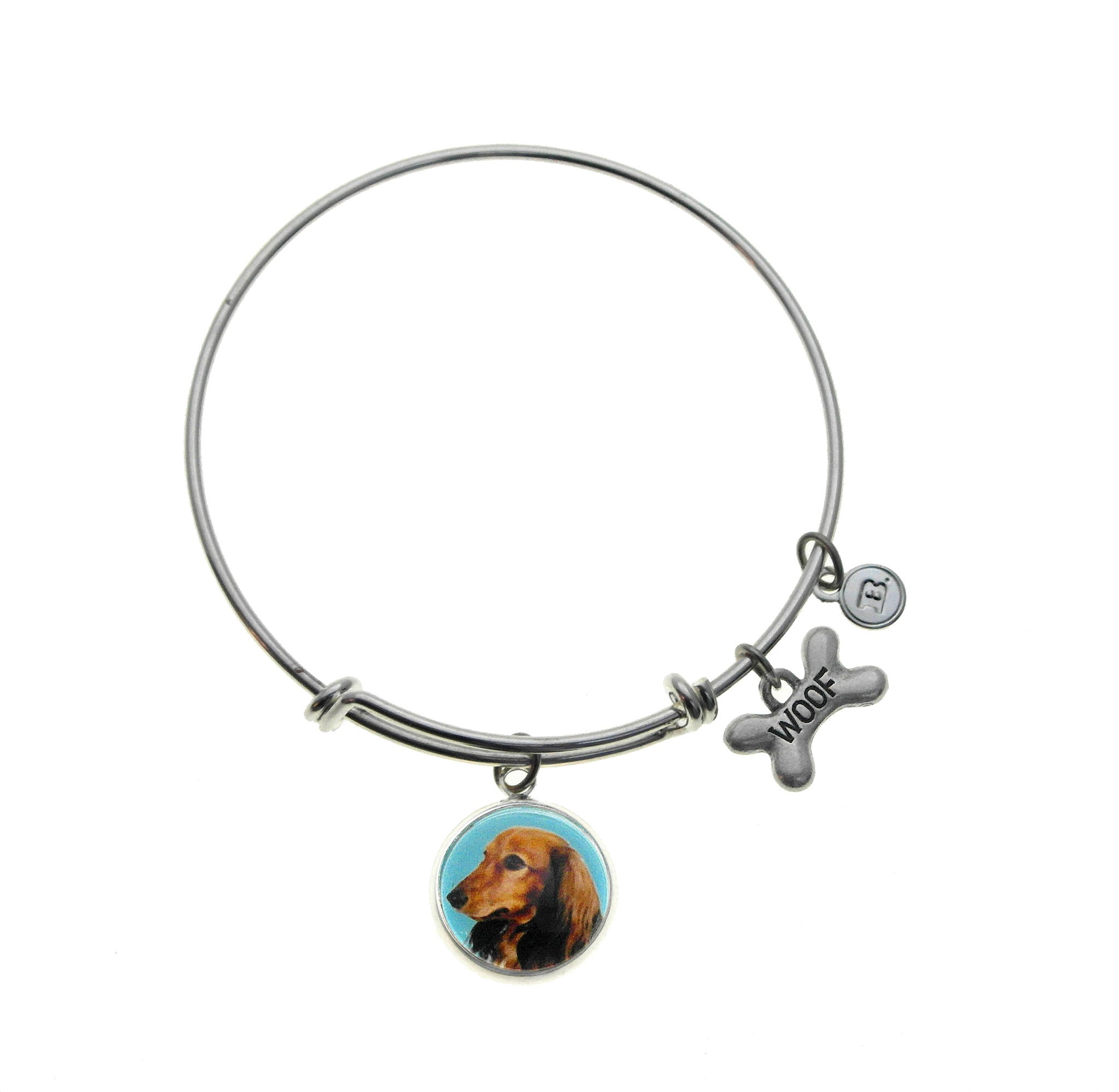 Alex and ani discount weiner dog bracelet