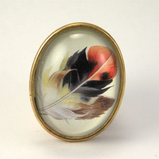 Light As A Feather - Feather with Browns, Reds and Tan Nature Illustration Brooch