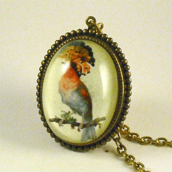 Polly Want A Cracker Exotic Bird Pendant Necklace