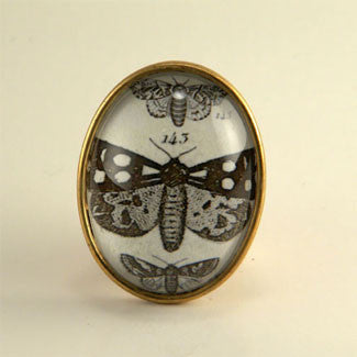 Speckled Wings and Flying Things Moth Vintage Engraving Brooch