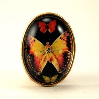 Aphrodite Butterfly Brooch