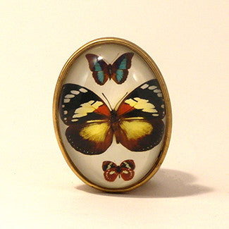 Psyche Butterfly With White Background Brooch