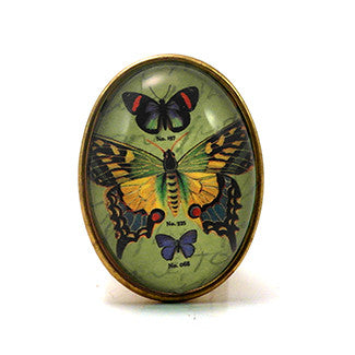 Gossamer Butterfly With green Background Brooch