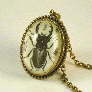 Beetle Juice - Vintage Scientific Beetle Insect Illustration Necklace