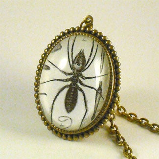 Insectavora Victorian Scientific Ant Engraving Necklace