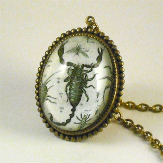 Scorpion Vintage Scientific Engraving Deluxe Pendant Necklace