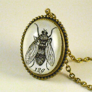 Flies in the Honey - Scientific Engraving of a Fly Pendant Necklace