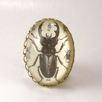 Beetle Juice - Vintage Scientific Beetle Insect Illustration Cocktail or Petite Ring
