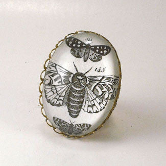 Moths, Moths, Moths Vintage Scientific Insect Illustration Cocktail Ring