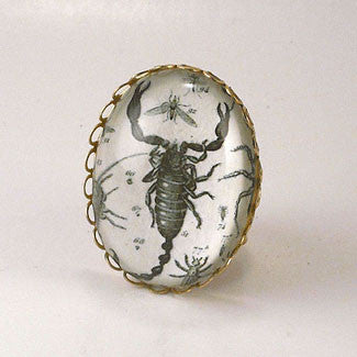 Scorpion Vintage Scientific Engraving Cocktail Ring