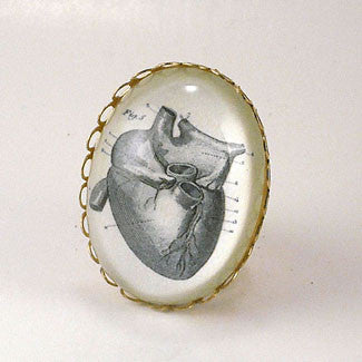 If I Only Had A Heart - Anatomical Heart Engraving Cocktail Ring